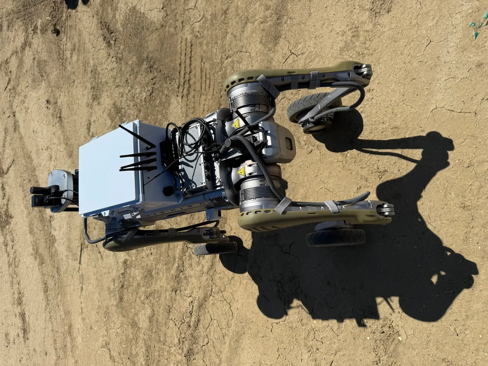 Unitree B1 quadruped with RX BRAIN payload between two rows of almond trees.