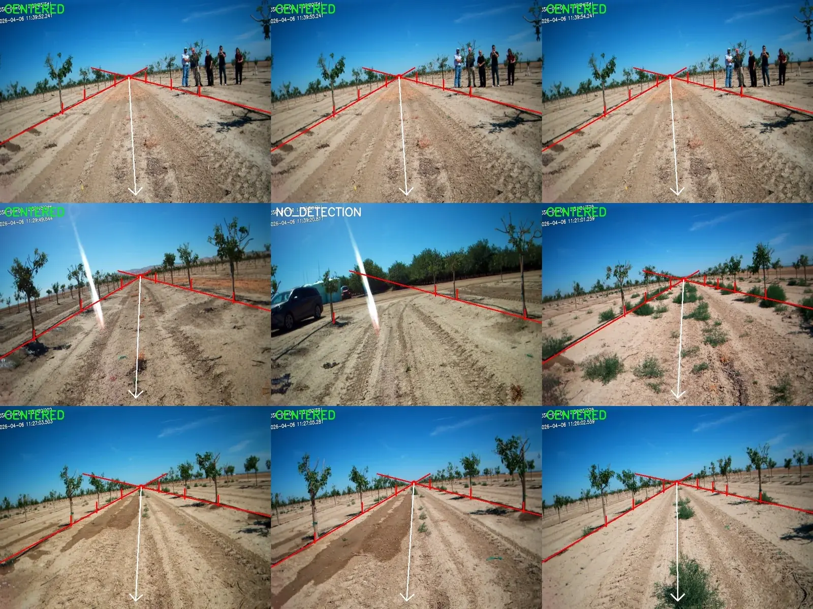 The same canopy mesh rotated roughly five degrees counter-clockwise to expose depth structure.