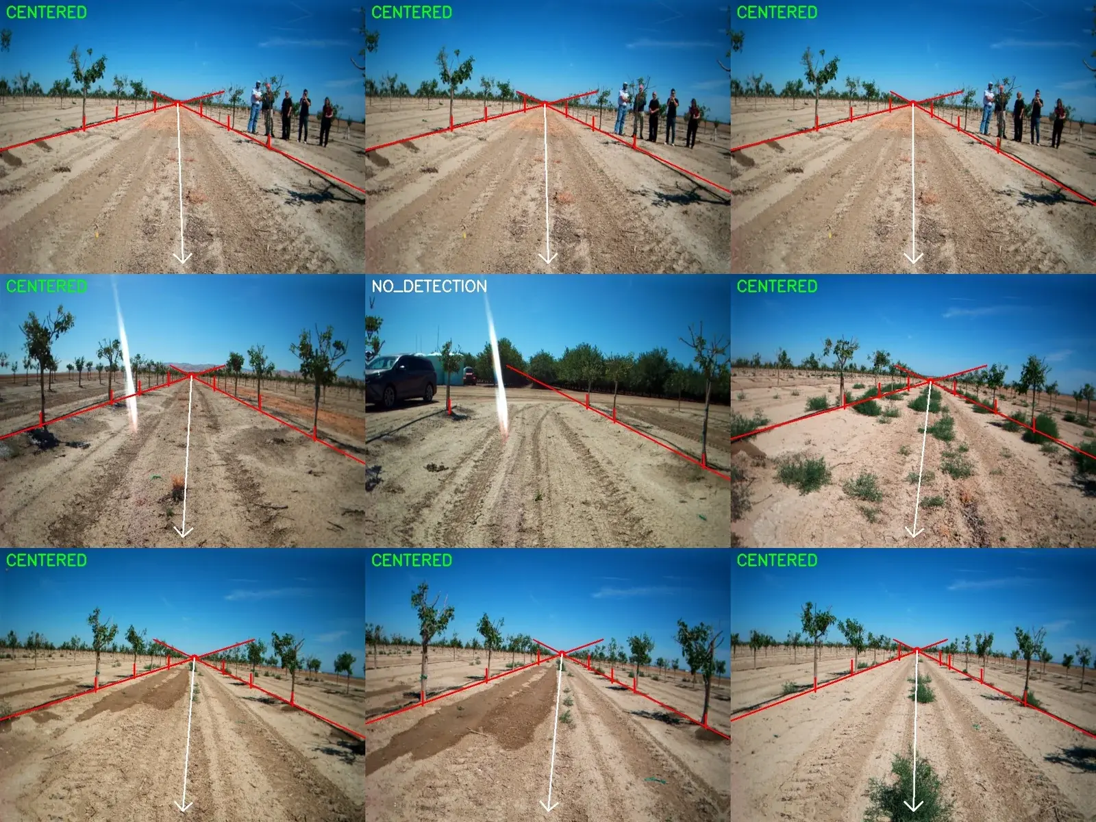 The same canopy mesh rotated roughly five degrees clockwise to expose depth structure.