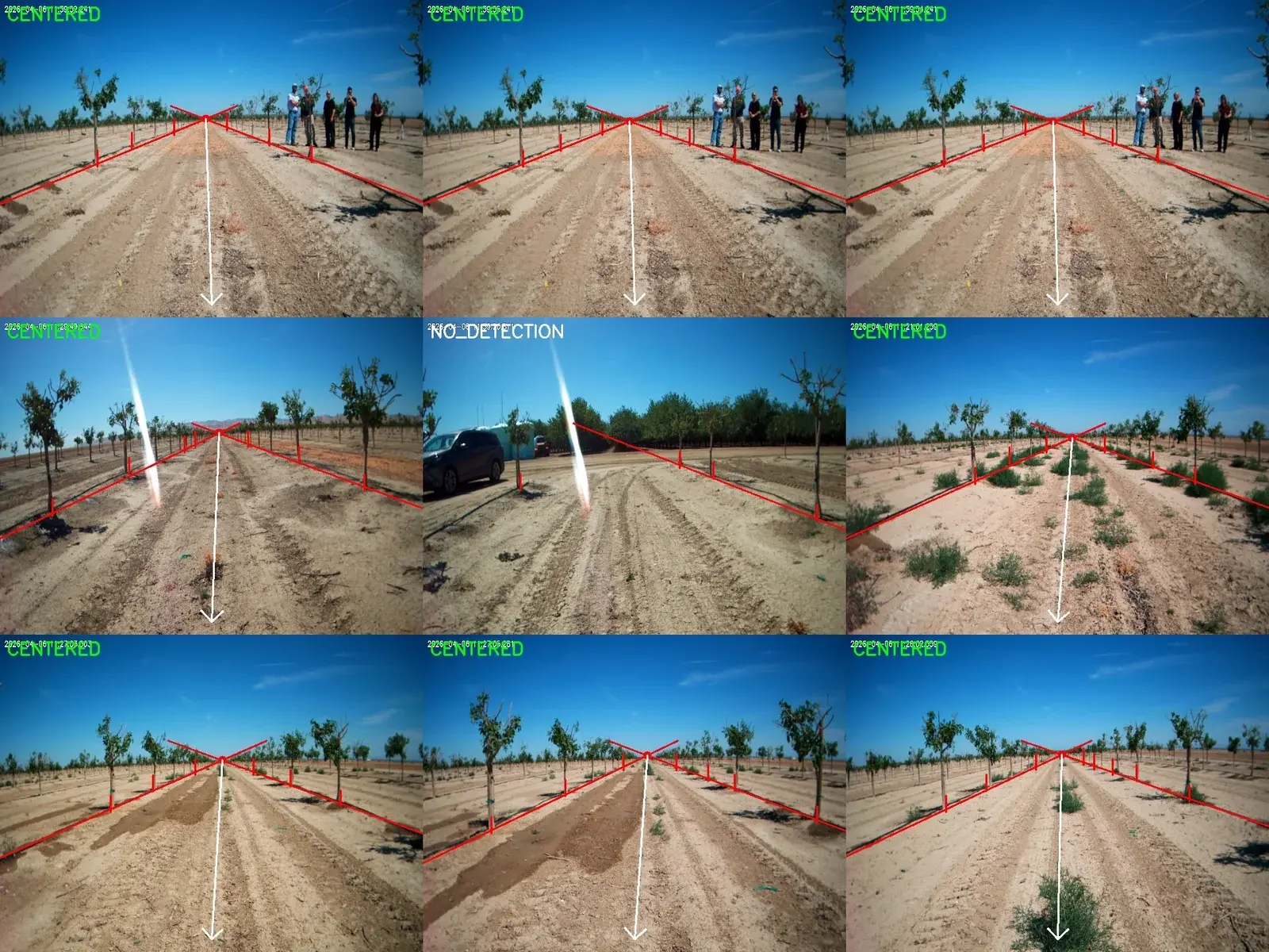 Front view of the 3D mesh reconstruction of the almond canopy generated by RX BRAIN.